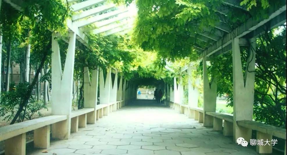 看不见的沟通,看不见的对话