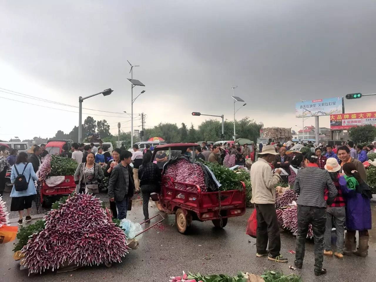 云南农资市场最新消息,云南农资市场咋样