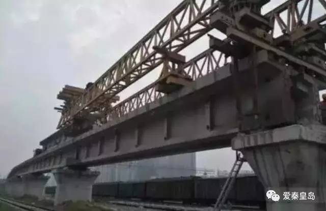 秦皇岛即将开的花海,秦皇岛最近的新花海