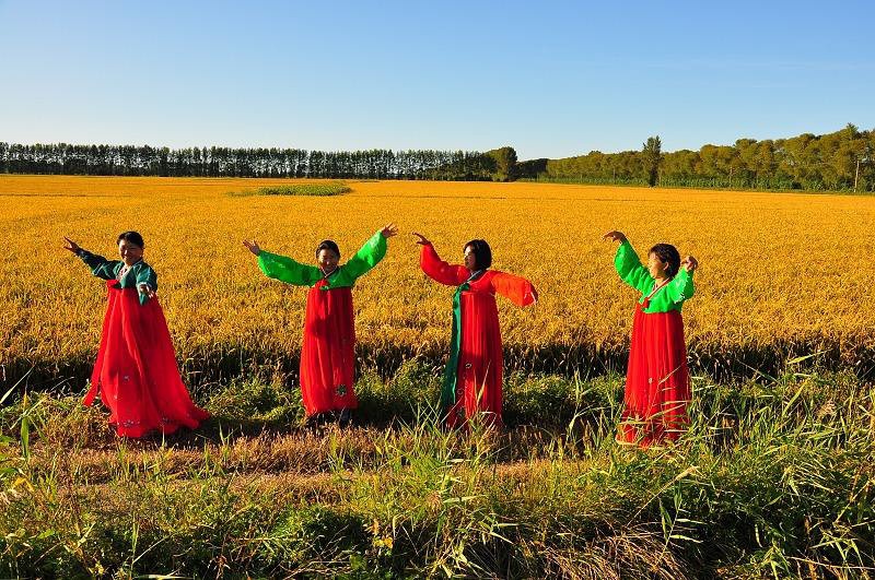 豆瓣日记完整版,豆瓣日记是什么