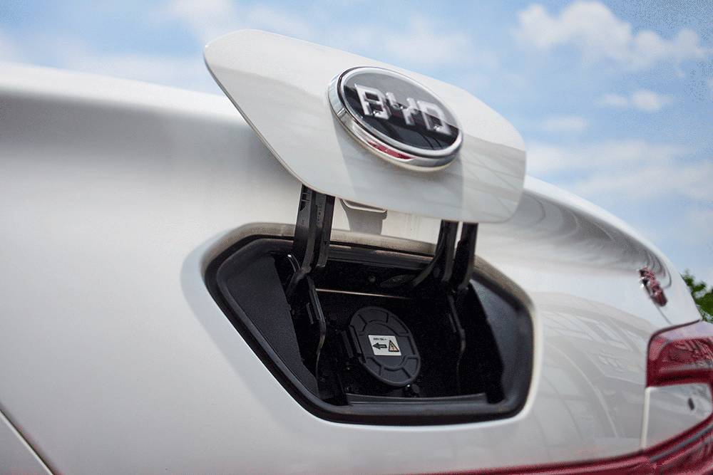 免费的午餐好吃吗,免费的午餐便宜吗