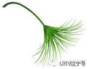 沈阳医改最新消息今天,沈阳市医改门诊报销政策