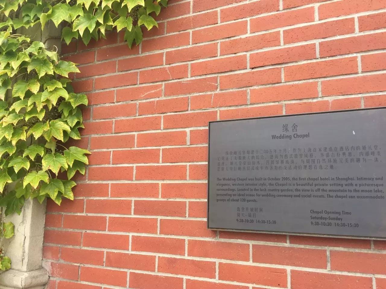 阿秋秋｜那些在缘舍举行婚礼的人，也太会选地方了吧