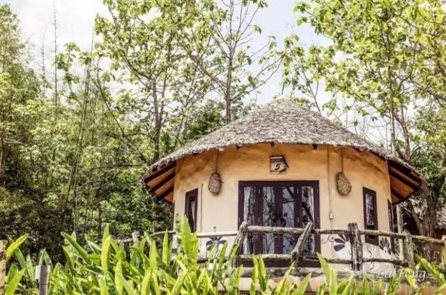 我们相爱吧无尾熊插曲,我们相爱吧无尾熊探班