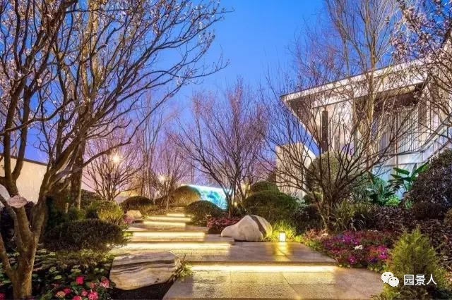 中国最好看的夜景风景区,濮阳市示范区夜景最漂亮的地方