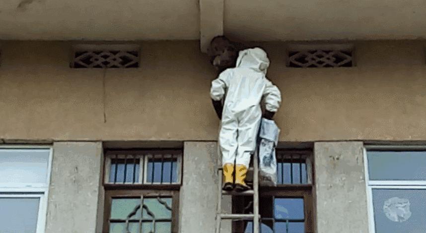 居民屋檐下惊现巨型马蜂窝,居民楼惊现马蜂窝消防队员一窝端