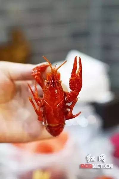 长沙哪里的正宗虾最好,全长沙最好吃的湘菜馆