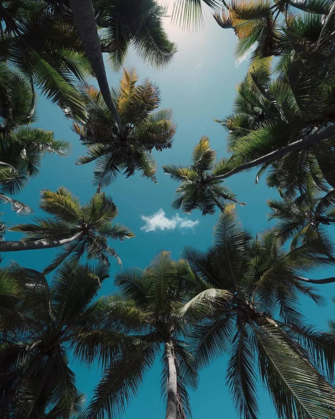 你有被盗的经历么,你有哪些被偷的经历