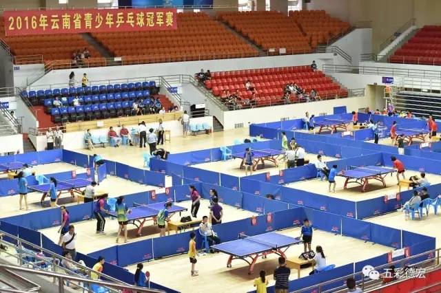 德宏成绩,德宏州体育成绩