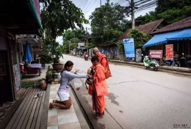 我们相爱吧无尾熊全集,我们相爱吧无尾熊