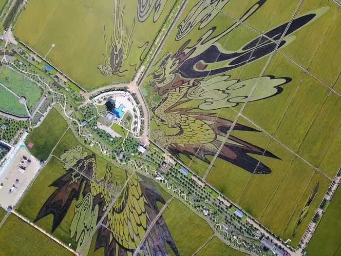 沈阳稻梦空间,沈阳稻梦空间星空