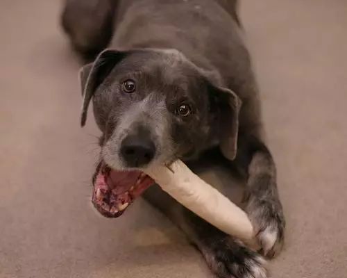 李沐：从头开始介绍机器学习，眼花缭乱的机器学习应用