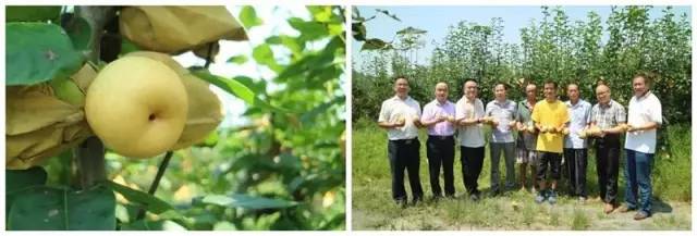 邮乐919专场,邮乐919启动