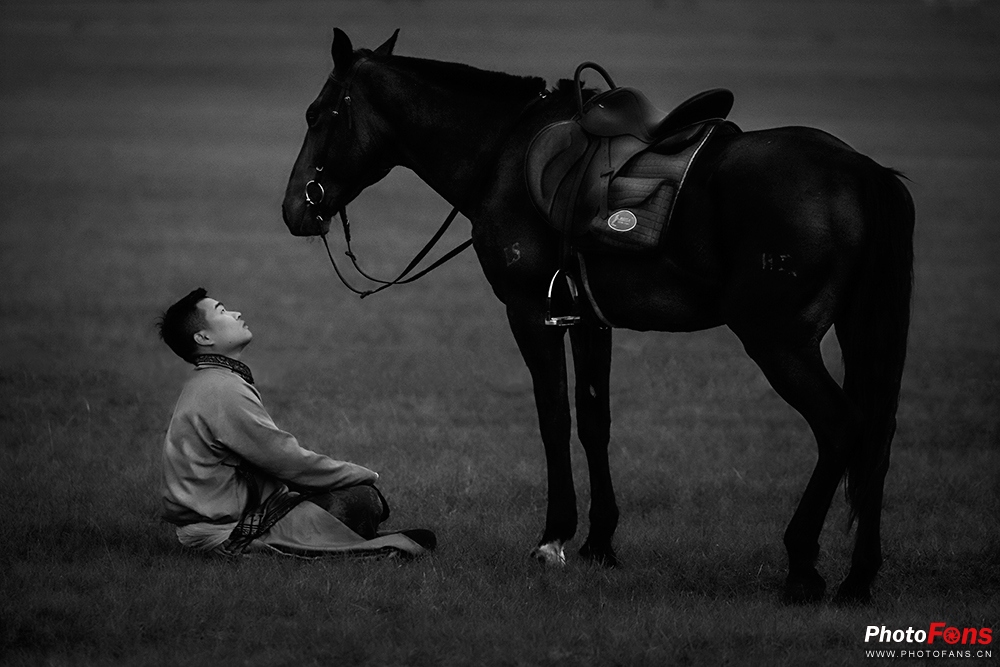 草原奔马拍摄技巧,草原骑马照片怎么拍