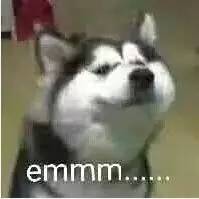 我笑点不低怎么回复,我笑点很低粤语怎么说