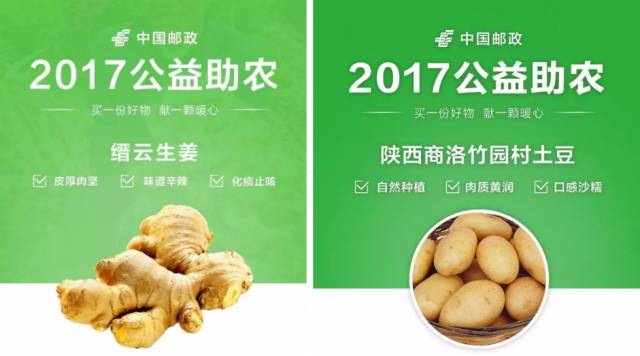 邮乐919专场,邮乐919启动