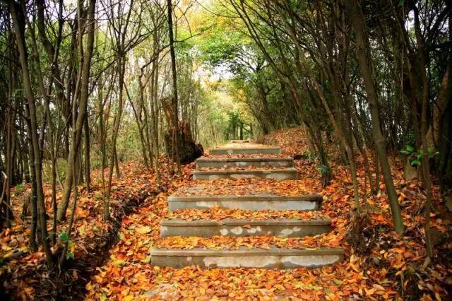 石柱好不好玩,石柱景点有哪些地方