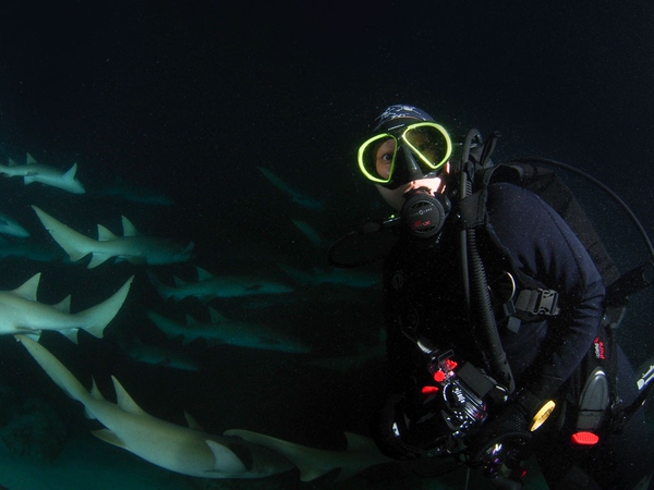 船宿潜水要什么水平,从零开始的潜水教练