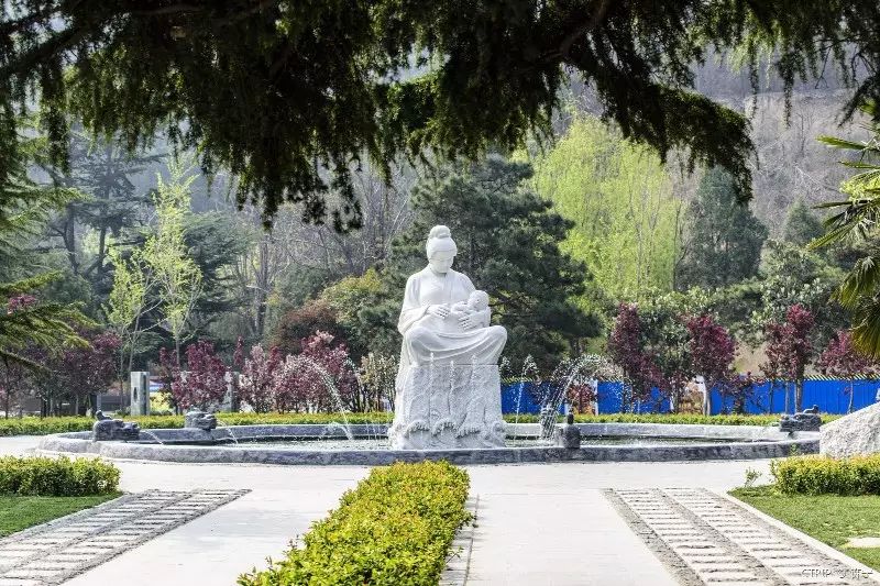 厦门动车最新消息今天,厦门到郑州高铁开通吗