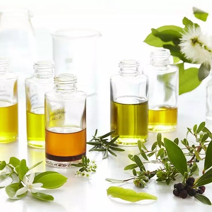 好用的进口家庭洗护用品,澳洲打扫卫生的清洁用品