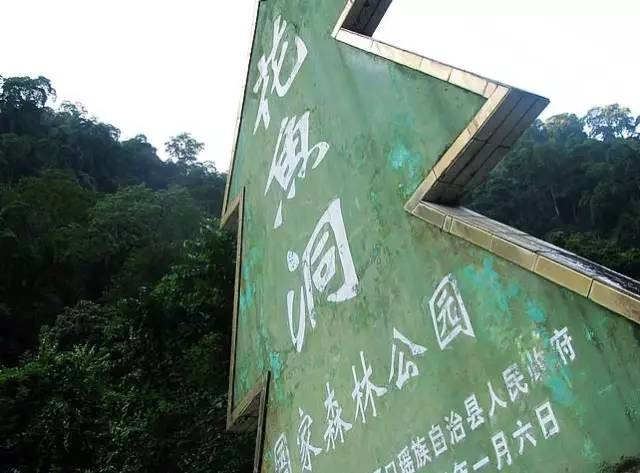 秋色正好邂逅大美河口,美丽的河口一日游