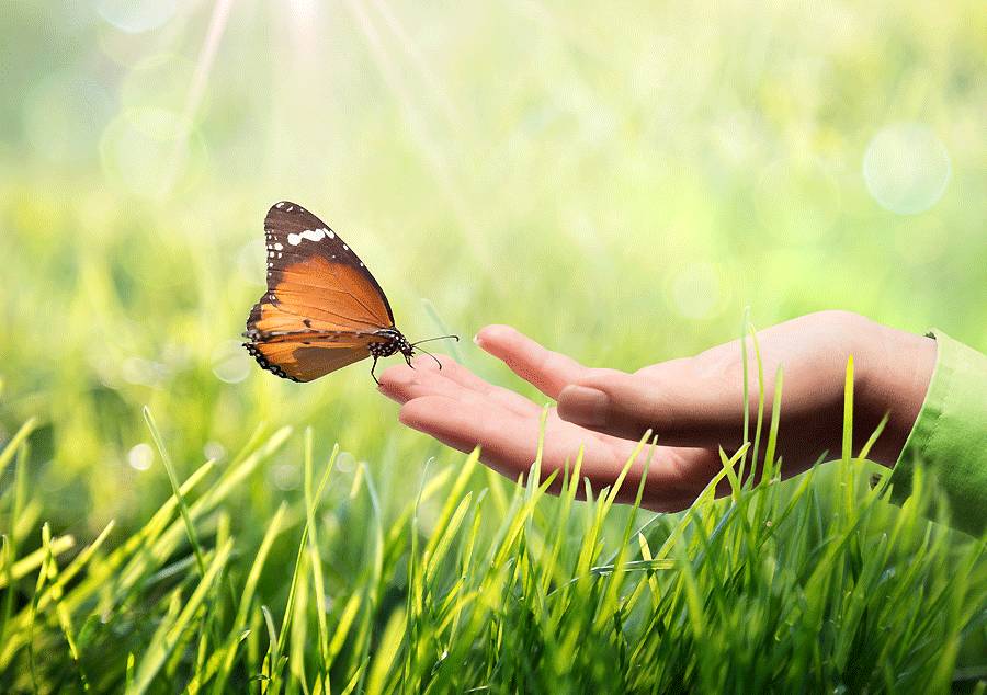 佛门关于爱情的偈语,佛门有关爱情的句子