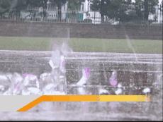 你知道口袋弹弓的威力吗,口袋式弹弓精准度