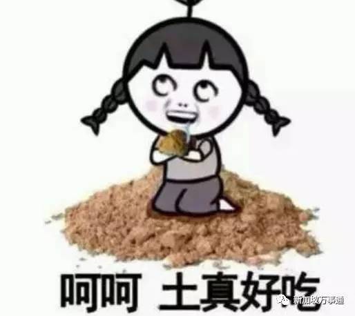 在新加坡有哪些注意事项 (新加坡最容易被问的问题)