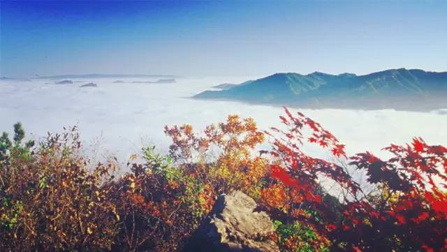 沈阳最美赏枫地最新开放,沈阳附近赏枫