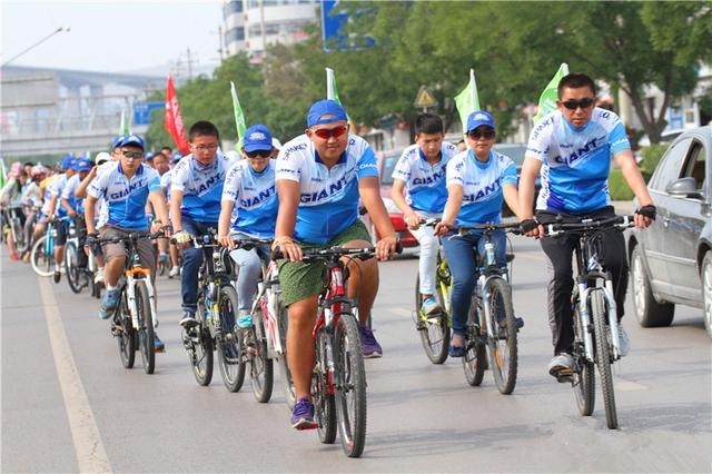 神木全攻略,吐血整理学习攻略