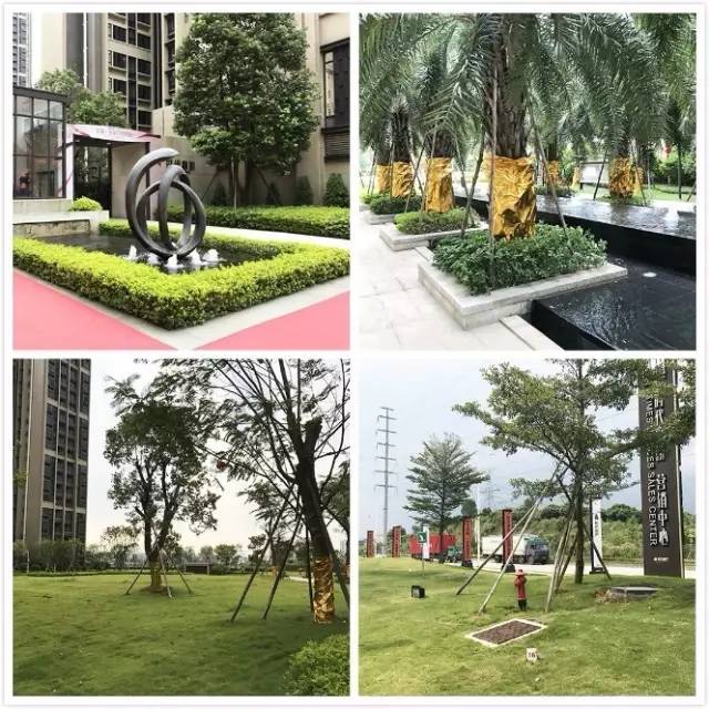 广州东部楼市最新消息,广州主城区楼市洼地