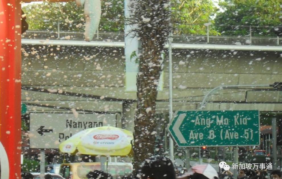 在新加坡有哪些注意事项 (新加坡最容易被问的问题)