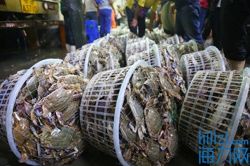 水产批发市场都有哪些海鲜,开渔首日最新视频