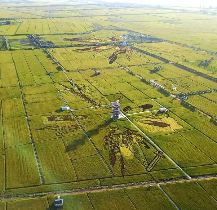 沈阳稻梦空间,沈阳稻梦空间星空