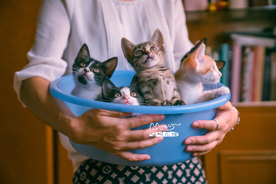 豆瓣日记10月,豆瓣日记