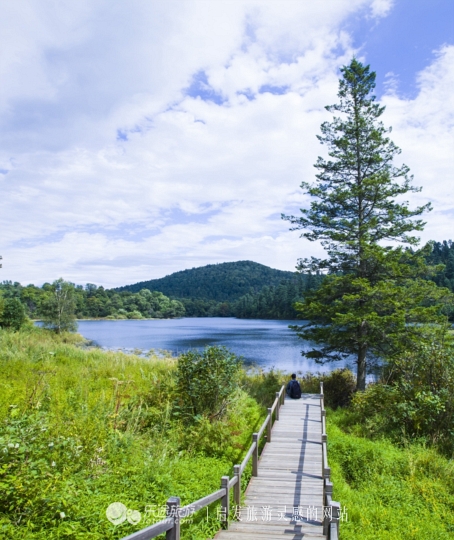 镜泊湖火山口免费景点,探秘火山