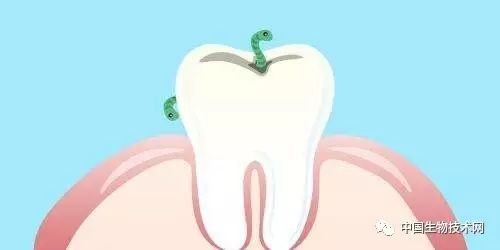 阿司匹林可以修复蛀牙吗,阿司匹林治蛀牙要用多久修复蛀牙