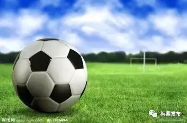 梅州市全国足球特色学校,广东青少年特色足球学校