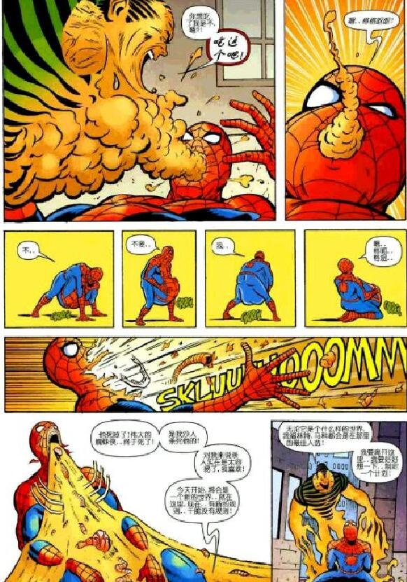 又萌又可爱的小蜘蛛你见过吗,盘点最可爱的小蜘蛛