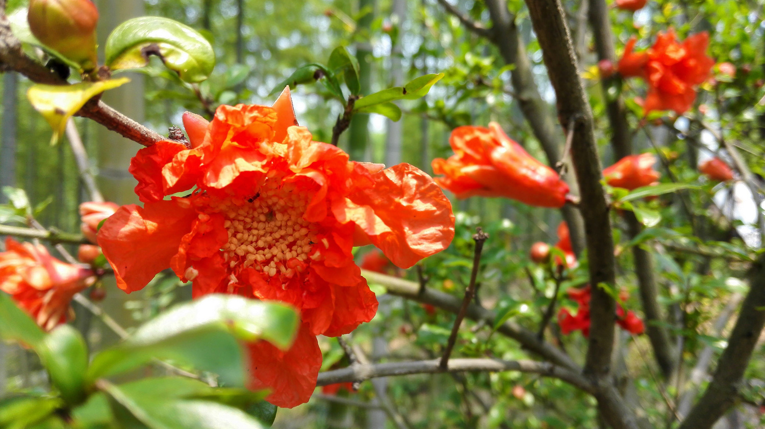 走近你就走进了痛苦出自哪里,走近你就是走近痛苦