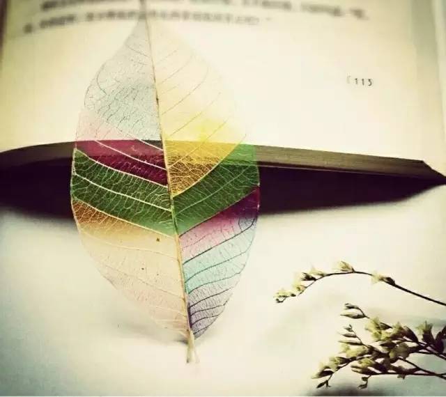 春夏秋冬自制的书签,秋天书签diy