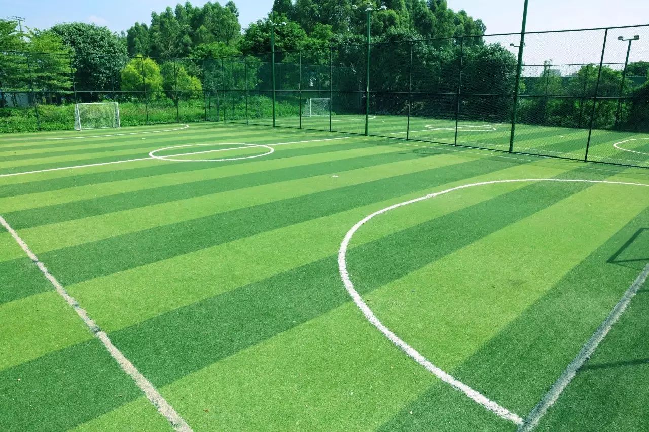 东莞塘厦新建体育公园,塘厦科苑东体育公园停车