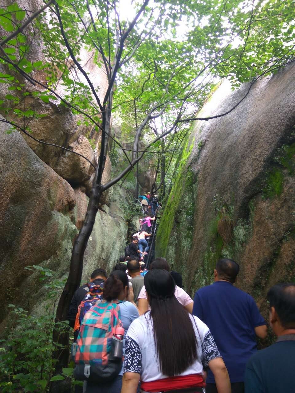 焦作特种兵一日游景区,焦作炮兵旅旅游攻略