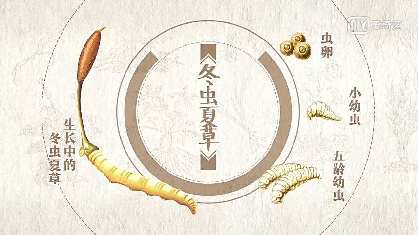 为了看这部豆瓣8.9的纪录片，我去商场买了一台4K电视