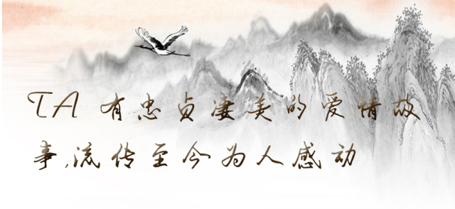 「百草园」那些“悬壶济世”的植物（二十七）罗布麻