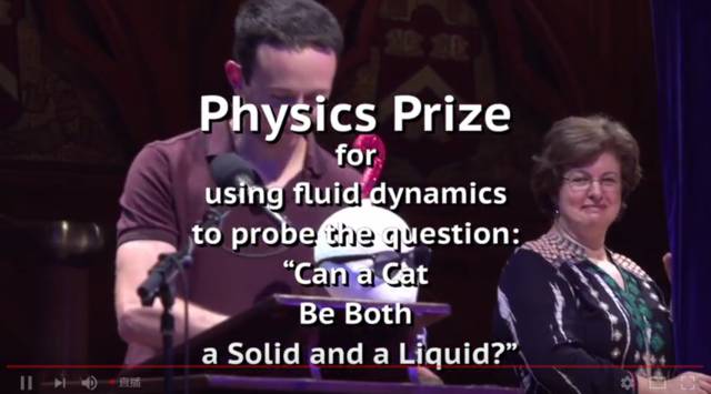 猫究竟是固体还是液体,猫到底是固体还是液体