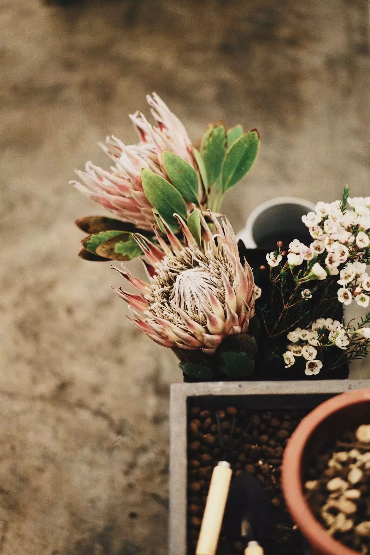 在济南这座历史古城，寻找让你惊艳的咖啡味道和有趣的咖啡人