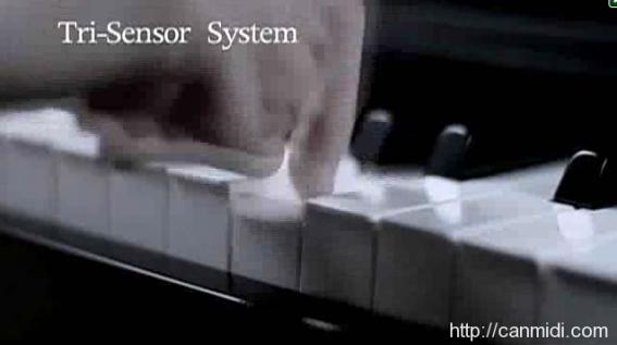 midi键盘配重选择,手感排名第一的midi键盘