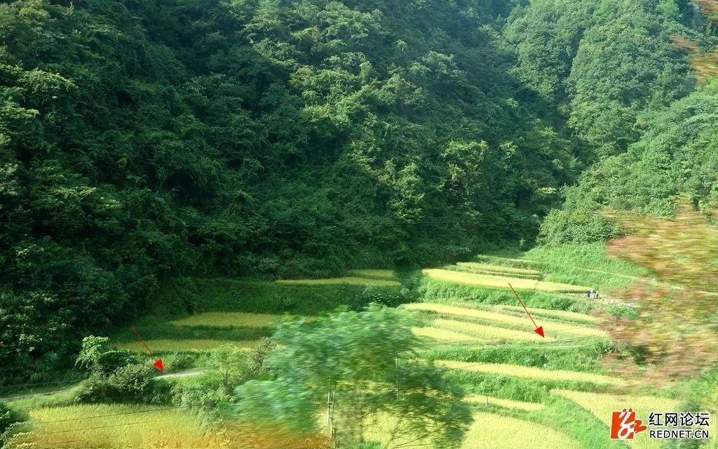 湖南怀化会同景区景点,湖南怀化第一大古村