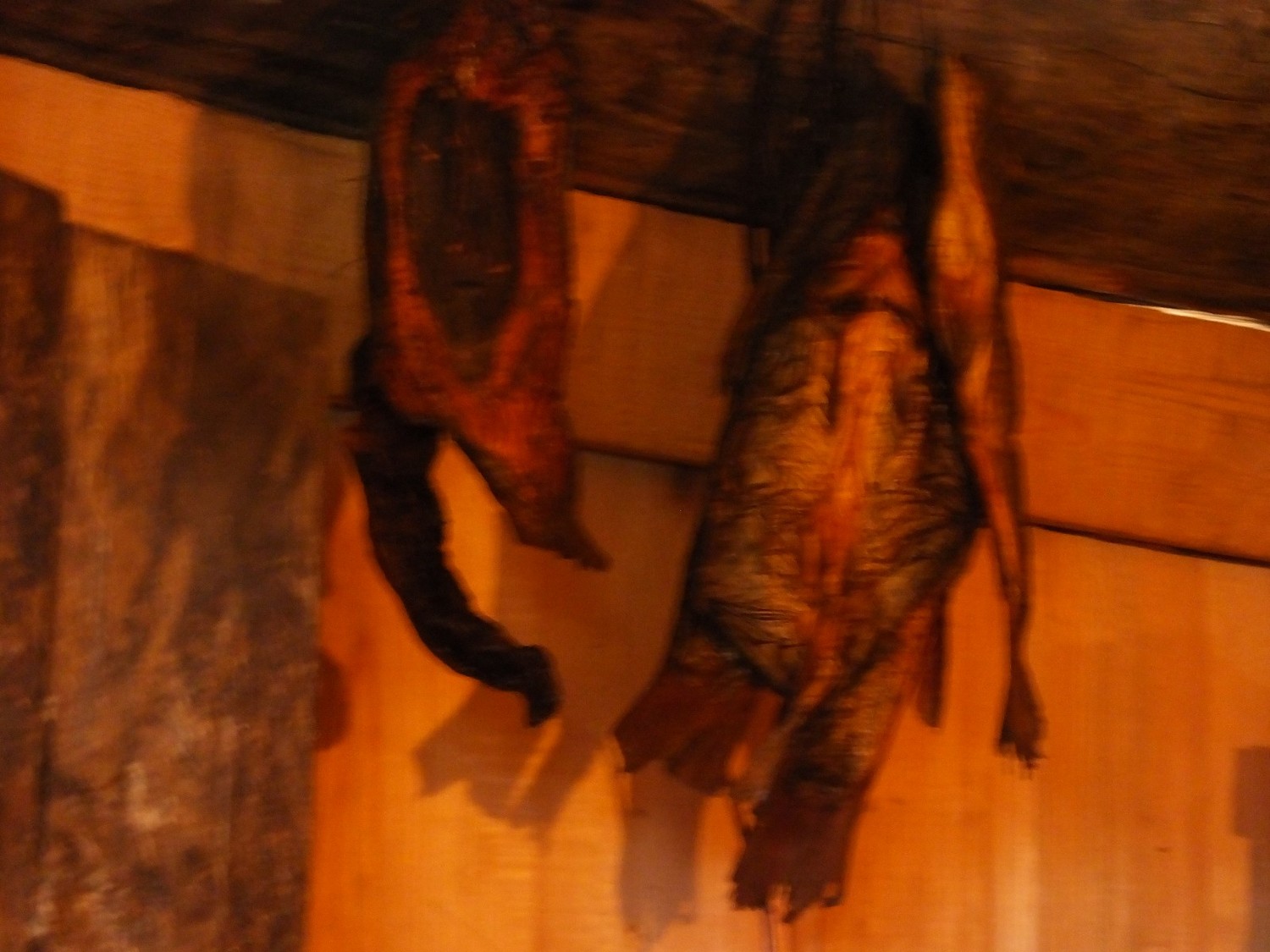 泸亚东线沿途风景,泸亚线穿越原始森林